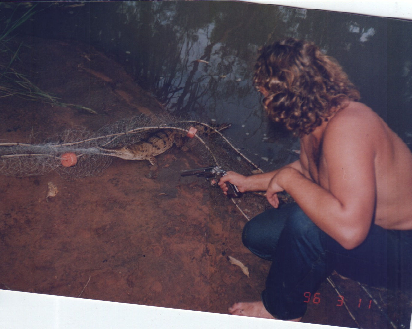 Fresh water crocodile at Mountain Valley.